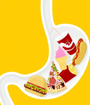 گوارش