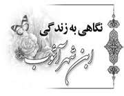 ابن شهر آشوب