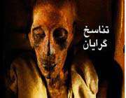 تناسخ