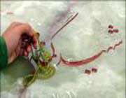 ماجرای تشییع شهدا در کلکچال