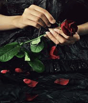 آخرین نفس های یک پیوند عاطفی