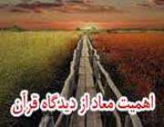 معاد