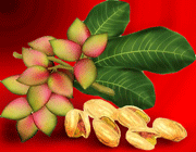 ریزه میزه