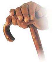 فصل پنجم کودکی