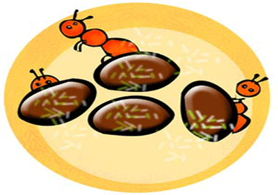 شیرینی بادامی