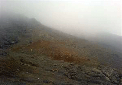 کوهنوردی یک روزه در تهران