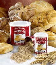 خمیر مایه