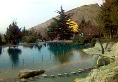 پاركی با حیوانات سنگی!