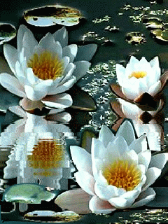 حسرت دیدار یار (سروده ای از محمدعلی اردهالی) حسرت دیدار یار (سروده ای از محمدعلی اردهالی)