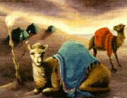 عمار