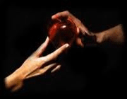 چرتکه ی زن و شوهری