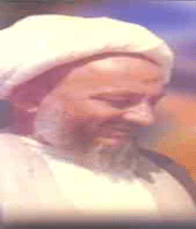 آیت الله احمدی میانجی