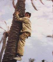 جغله های جبهه