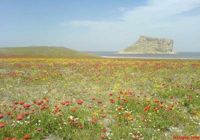 آرامش را در گورچین تجربه كنید
