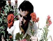 شهید حسن باقری