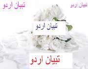 تبیان اردو