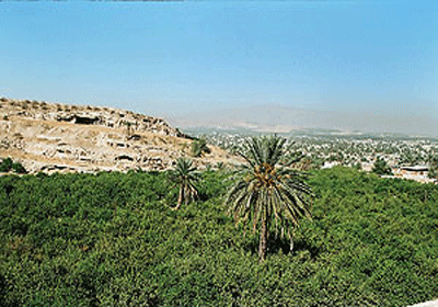 سفر به شهر نخل و باربد