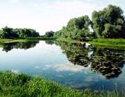 سال نامه مناسبت های 1391