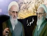 علامه حسن زاده آملی