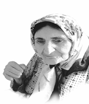 سالمند