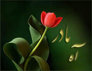 نفرین
