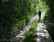 از طبیعت یاد بگیریم!
