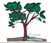 آب در هوا