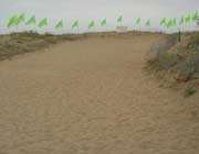 روایتی از عطش فکه