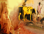 سادگی