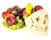 غذای مغز