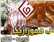 تب کریمه کنگو
