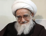 آیت الله صافی