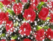 چرا پژوهش مهم است؟