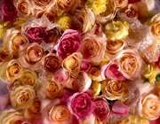 چرا پژوهش مهم است؟