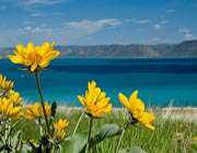چرا پژوهش مهم است؟