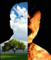 بیمار روانی