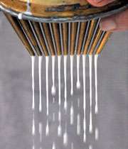 رشته خوشکار