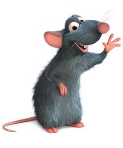 موش