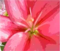 اصالت و تجرد در عکاسی (محمدعلی اردهالی) اصالت و تجرد در عکاسی (محمدعلی اردهالی)