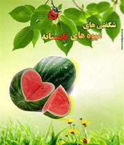 ویژه نامه شگفتی های میوه های تابستانه