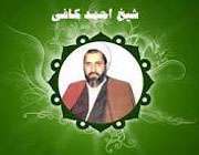حجت الاسلام محسن کافی