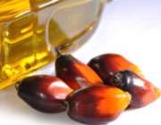 روغن پالم