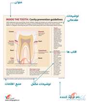 ساختار یک گرافیک اطلاع رسان