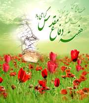 قاصدک های پشت پنجره هر روز