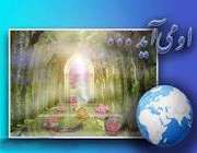 رجعت
