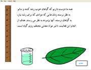 یک گیاه خوب پرورش دهید