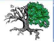 زندگی عالم آسایش نیست زندگی عالم آسایش نیست