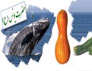 حضرت یونس