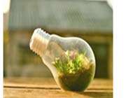 جای خالی ای در تولید کتاب