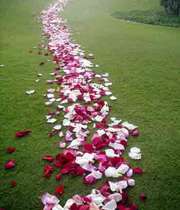 خوشبختی
